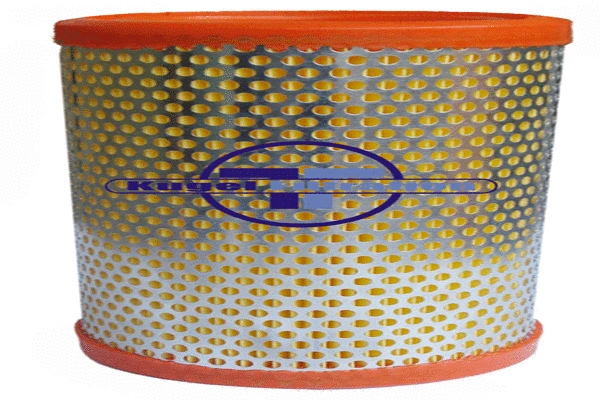 Air Filter (A3017)