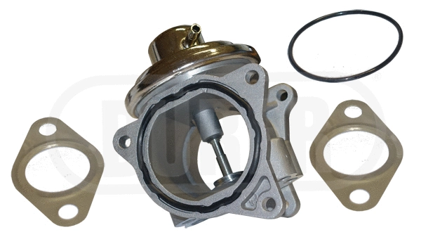 EGR Valve (VR81118)
