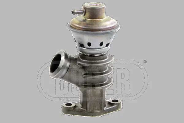 EGR Valve (VR21163)