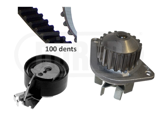 Water Pump & Timing Belt Kit (PA221115)