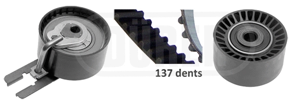 Timing Belt Kit (DK221108)