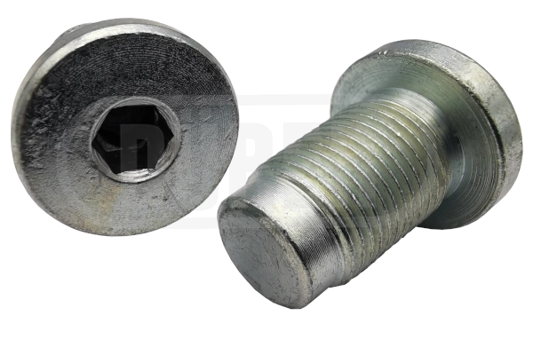 Screw Plug, oil sump (BV04F)