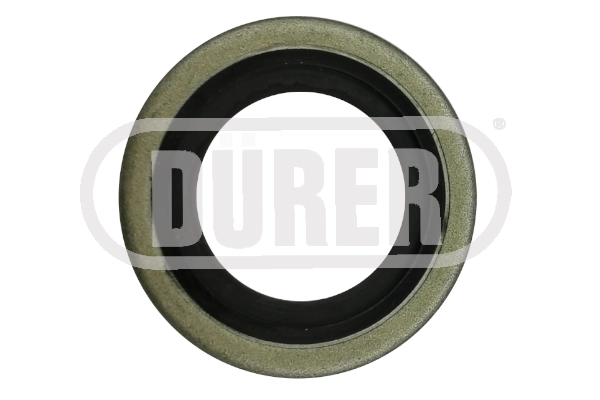 Seal Ring, oil drain plug (JBV11G)