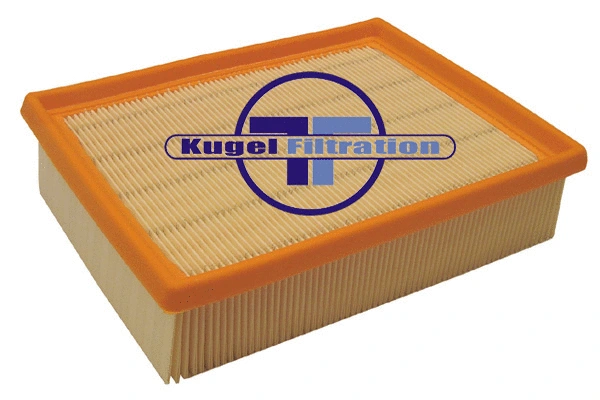 Air Filter (A3036)