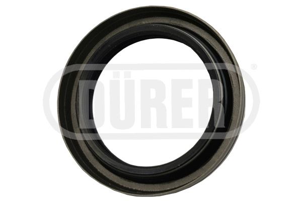 Shaft Seal, differential (JB684113)