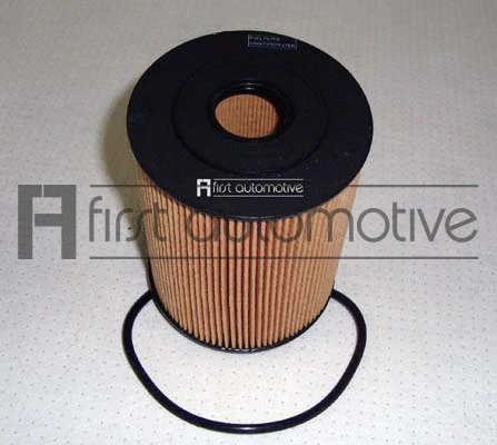 Oil Filter (E50334)