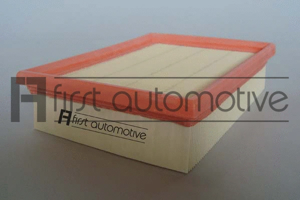 Air Filter (A60307)