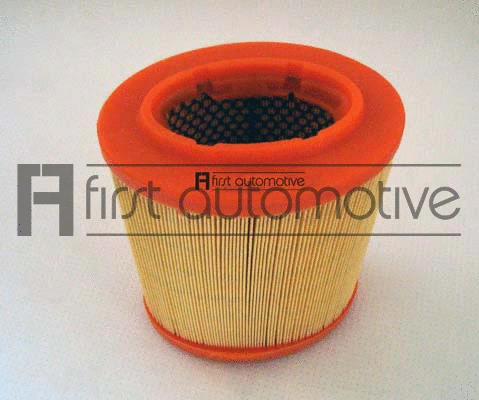 Air Filter (A63132)