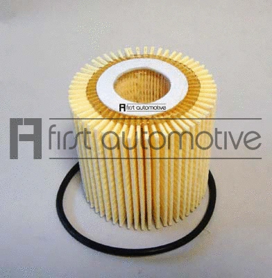Oil Filter (E50381)