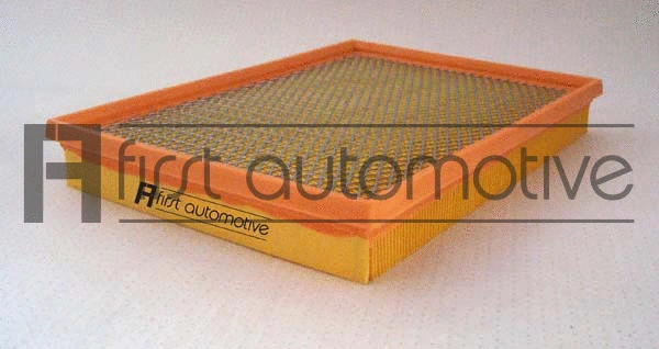 Air Filter (A63143)