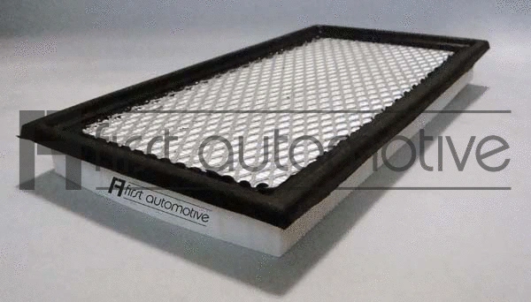 Air Filter (A63420)