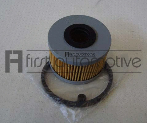 Fuel Filter (D20143)
