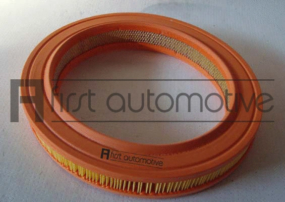 Air Filter (A60117)