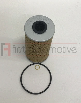 Oil Filter (E50295)