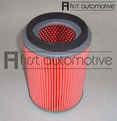 Air Filter (A60163)