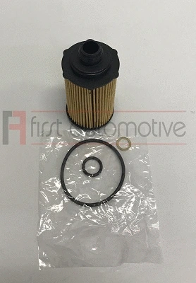 Oil Filter (E50304)