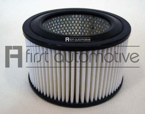 Air Filter (A63262)