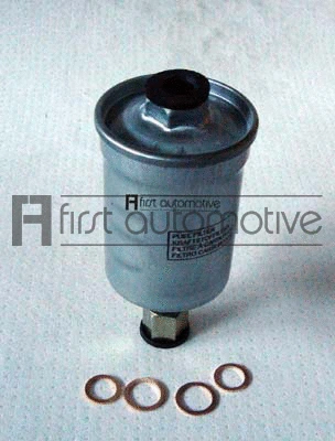 Fuel Filter (P10196)