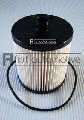 Fuel Filter (D20163)