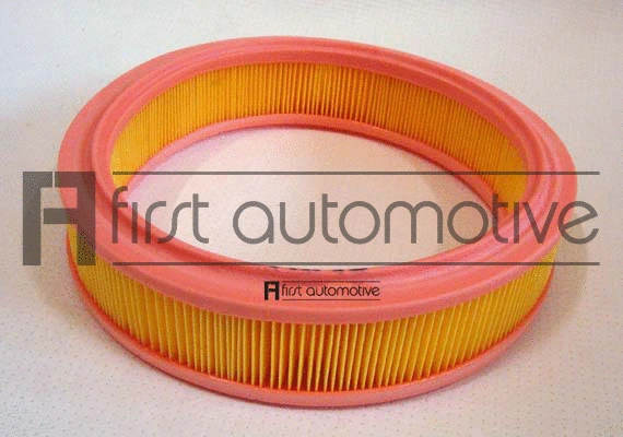 Air Filter (A60716)
