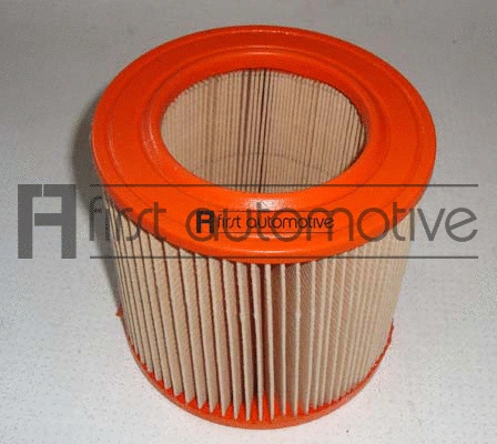 Air Filter (A60244)