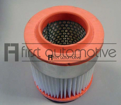 Air Filter (A63187)