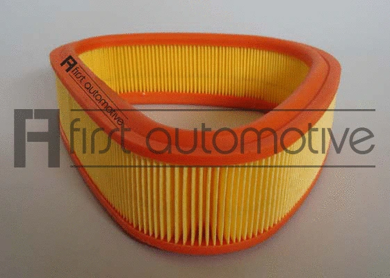 Air Filter (A60313)
