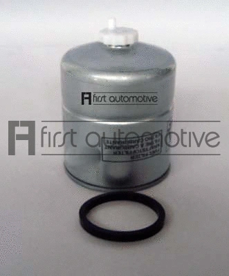 Fuel Filter (D20462)