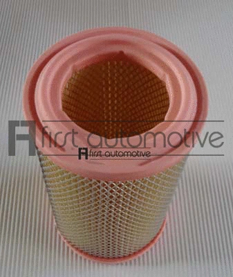 Air Filter (A60216)