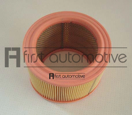 Air Filter (A60222)
