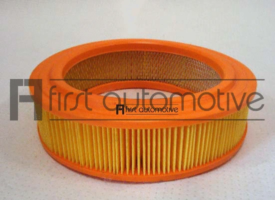 Air Filter (A60442)