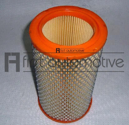 Air Filter (A60284)