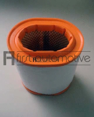 Air Filter (A63396)