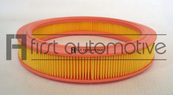 Air Filter (A63311)