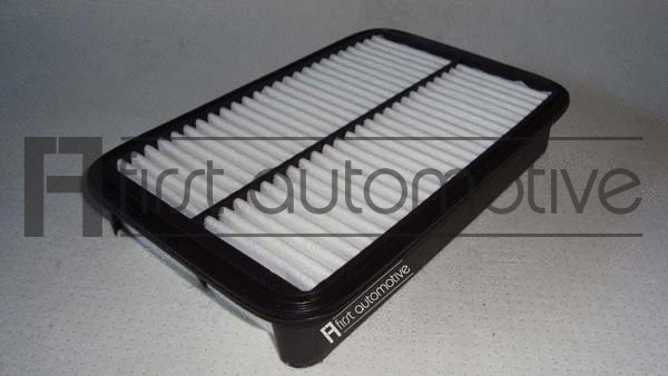 Air Filter (A60110)