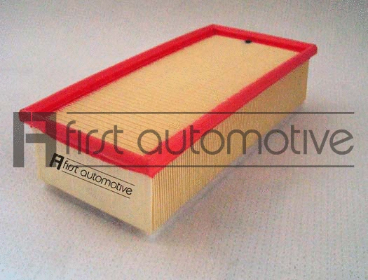 Air Filter (A63137)