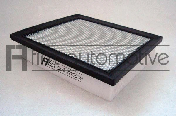 Air Filter (A63595)
