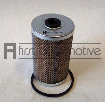 Fuel Filter (D21047)