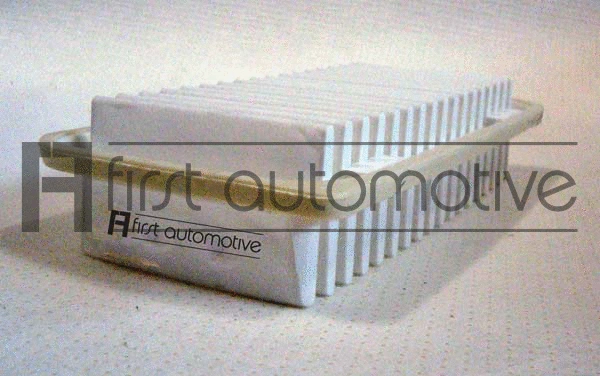 Air Filter (A60719)