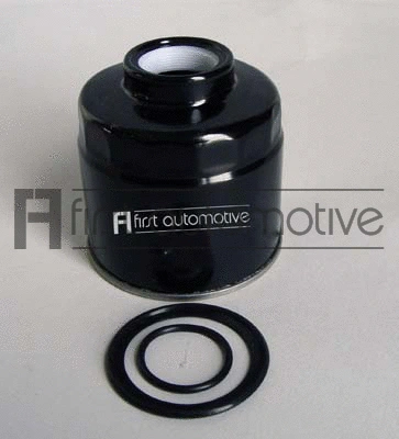 Fuel Filter (D21135)