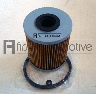 Fuel Filter (D20160)