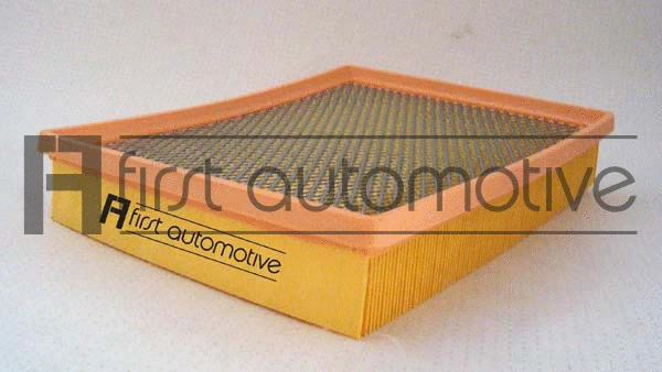 Air Filter (A63154)