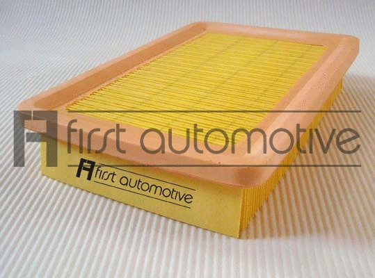 Air Filter (A63476)