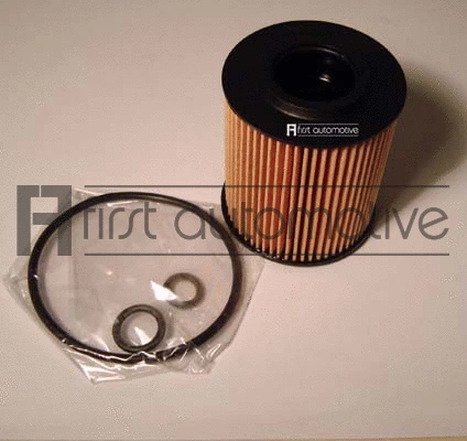 Oil Filter (E50285)