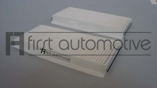 Filter, cabin air (C30256-2)