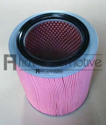 Air Filter (A63480)