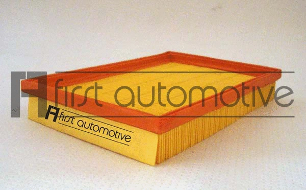 Air Filter (A60311)
