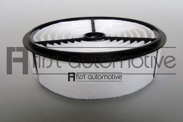 Air Filter (A63317)