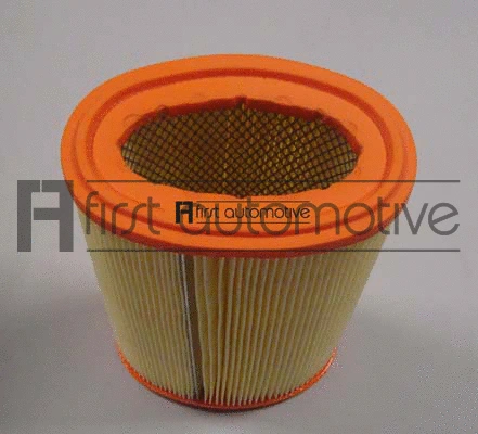 Air Filter (A60223)