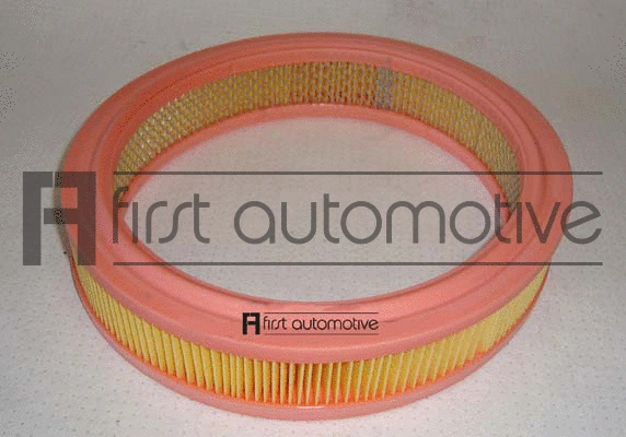 Air Filter (A60174)